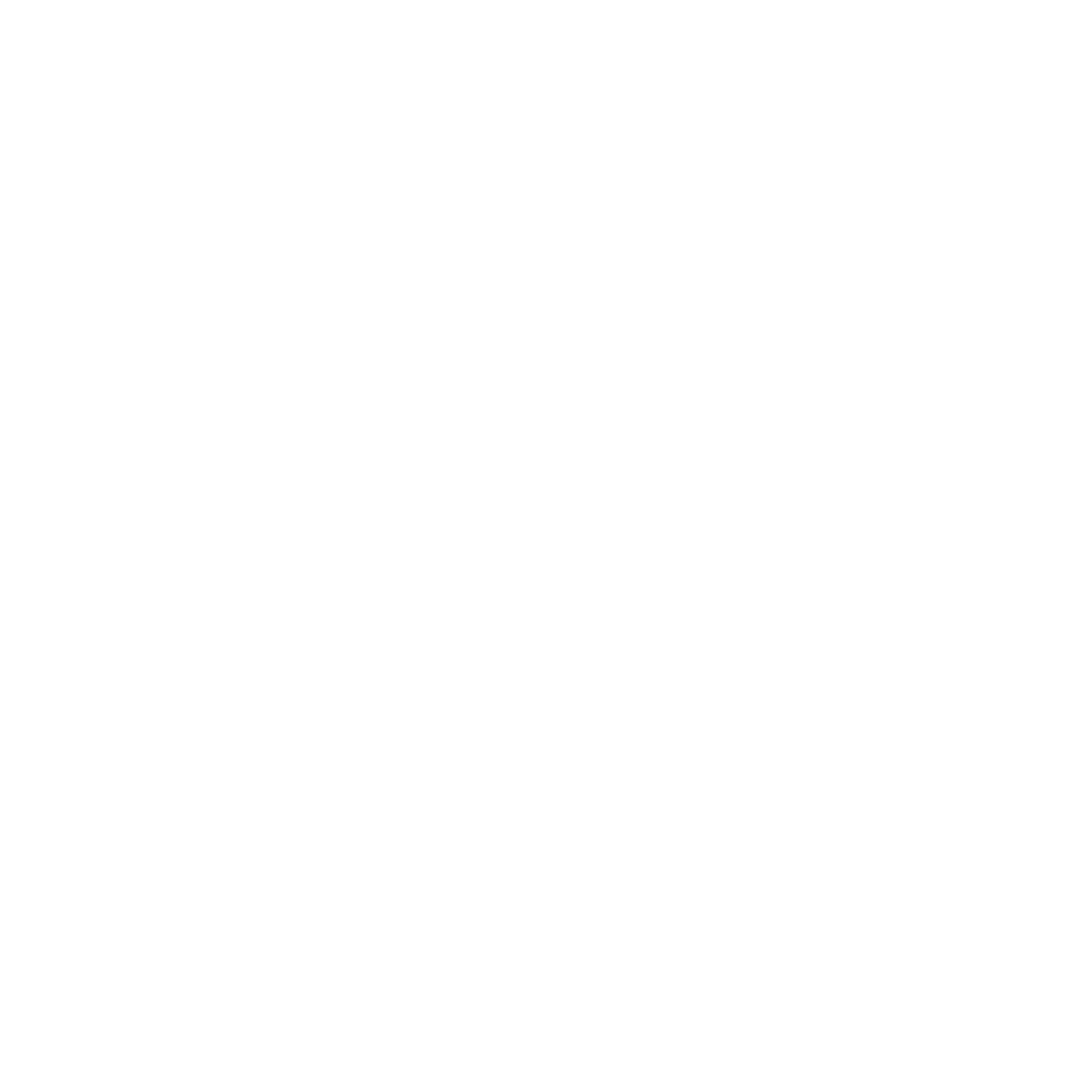 CVL BJJ